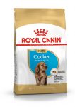 royal-canin-cocker-puppy-3kg-670.jpg